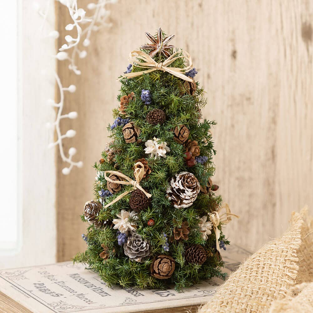 Amazon｜【X'mas限定】 クリスマスツリー/プリザーブド＆ドライ